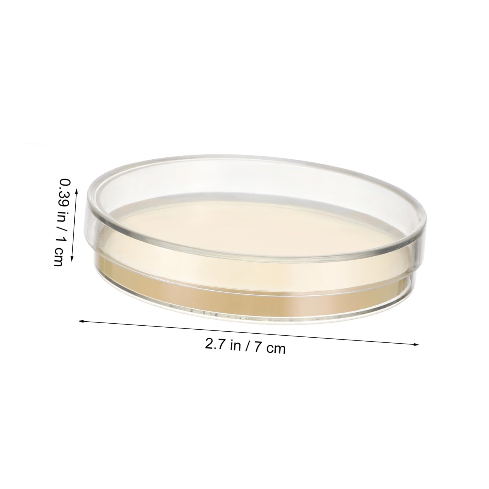 SHINEOFI 10 Placas de Petri con Agar Nutritivo de 7 Cm, con Agar Prevertido, Ideales para Proyectos Escolares, Investigación Y Experimentos Científicos.
