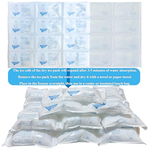 Image of Dry Ice Packs for Shipping Frozen Food & Perishables - 2 Sheets(12 Pack Large Ice Cells per Sheet) | Long-Lasting Cold Reusable Freezer Packs for Coolers, Lunch Bags & Insulated Boxes