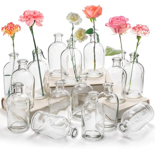 YOUEON 16 Pack Living Bud Vases Clear Glass Flower Vase 8 Oz Decorative Glass Bottles Small Vintage Flower Bottle Table Centrepiece Decoration for Home Wedding Party Event Office Modern Decor Clear
