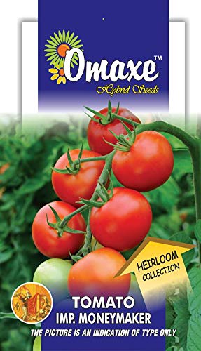 Tomato Heirloom Money Maker Vegetable seeds Pack of 2 Kitchen Garden Packet (B07MJLF5WX) Amazon Price History, Amazon Price Tracker
