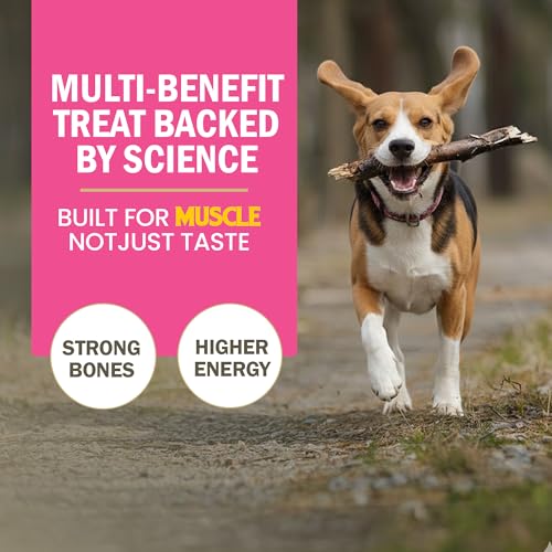 Image of Gnawlers All Life Stages Calcium Milk Stick Dog Treat, Brown, 810g Exclusively By DogsNCats