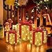 VIPNAJI Juego de 3 Cajas de Regalo LED Imagen de VIPNAJI Juego de 3 Cajas de Regalo LED