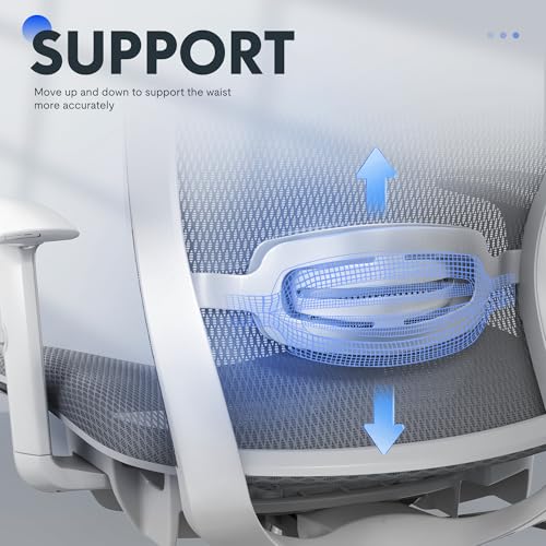 Image of FLEXISPOT OC3 Air Ergonomic Office Chair Mesh Back Swivel Computer Chair Executive Office Desk Chairs with Adjustable Lumbar Support /2D Headrest /Lockable Backrest, Mesh Seat Cushion, Light Gray