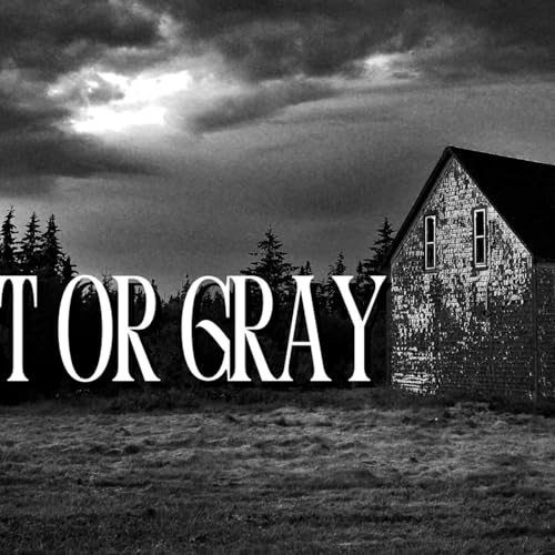 Ghost or Gray? Joe's Creepy Encounter!