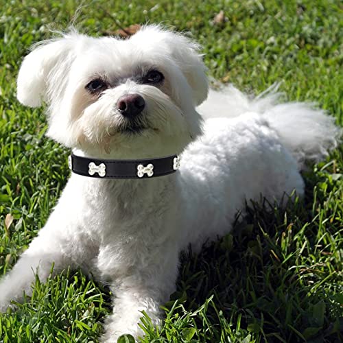 HALFSUMO Leather Dog Collar Dog Collar Combo Set Dog Collars Adjustable Puppy Collar for Small Medium Dogs Cats Black M - Image 2