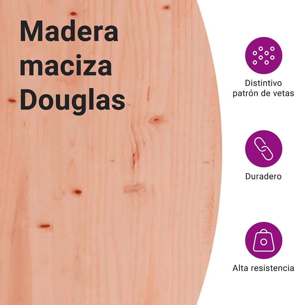 vidaXL Parque Infantil de Exterior Madera Maciza Douglas, Juego de Columpios de jardín, casa de Juegos con Columpio, Parque Infantil de Madera