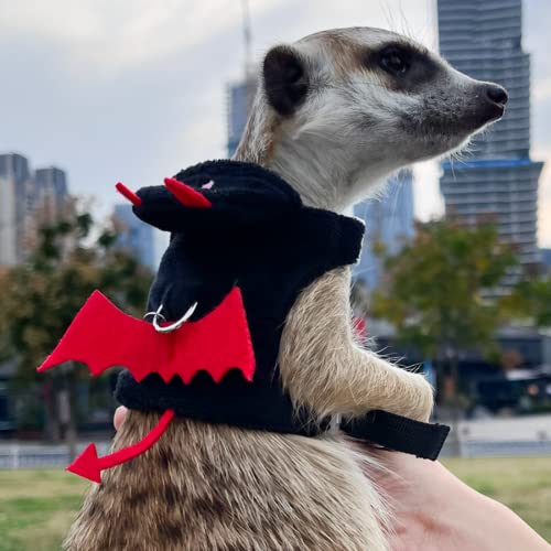 Image of Ferret Harness and Leash, Adjustable Ferret Walking Vest for Squirrel and Small Animal, Soft and Breathable Ferret Lead Leash with Evil Wings and Safe Bell (Evil)