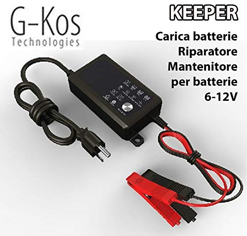 StickersLab - Carica batterie, mantenitore, riparatore, riattivazione batterie piombo 6V 12v da 4Ah a 120Ah