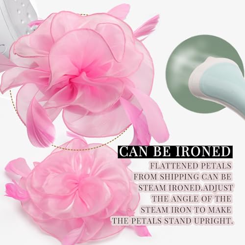 Image of DRESHOW Fascinators Hat Tea Party Headwear Ribbons Feathers on a Headband and a Clip for Women