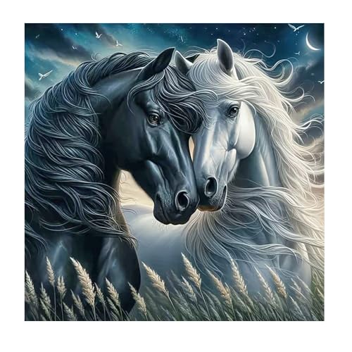 DCIDBEI DIY Diamant Peinture Chevaux 40x40cm Peinture par numéros Chevaux 5D Diamant Painting Cheval Autocollants Diamond Painting Cheval Noir Blanc Broderie...
