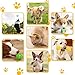 Leipple 20 Pack Luxus Hund Kauspielzeug für Welpen, niedliche kleine Hundespielzeug mit Seilen Welpen Kauspielzeug, interaktive Hundespielzeug und Quietschen Welpenspielzeug für kleine Hunde (style1)