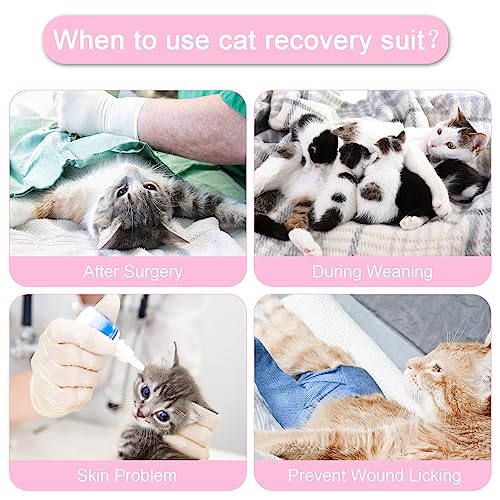 Image of Cat Surgery Recovery Suit - Post Spay /Neuter Bodysuit, Anti-Licking Wounds Alternative to Cat Cone, Pink Strawberry /M
