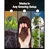Xtreme Gardening Bundle - Azos + Mykos (Deluxe Bundle)