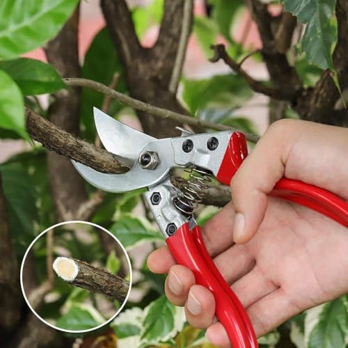 Image of Professional Garden Pruning Shears, Spring-Loaded Secateurs with Steel Blade, Red Comfort Grip Handles, 20.5 cm