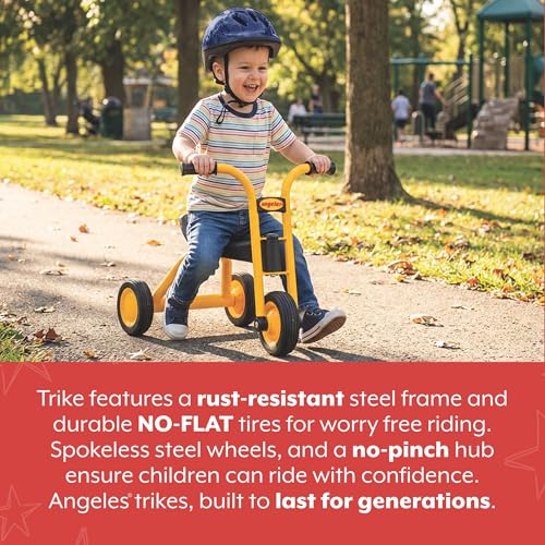 Image of MYRIDER Toddler Trike, Kids Tricycle for Preschool, Daycare, Playground Kids Tricycles, Rubber Tires, Yellow /Black, 8 inch Mini Pusher