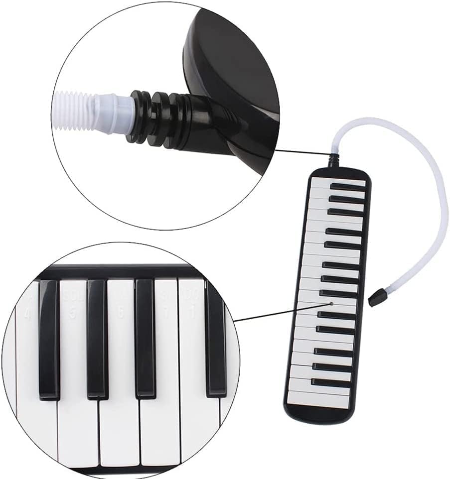 La mejor selección de Melodica los 5 más buscados. 12 La mejor selección de Melodica los 5 más buscados. 10