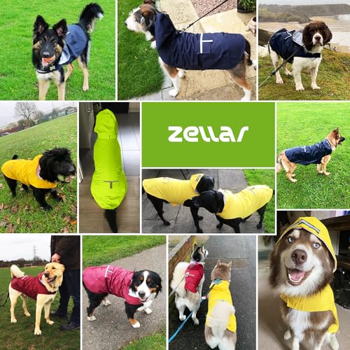 Zellar Hunderegenmantel mit Kapuze & Kragenloch & sicheren reflektierenden Streifen, ultraleichte atmungsaktive 100% wasserdichte Regenjacke mittelgroße Hunde