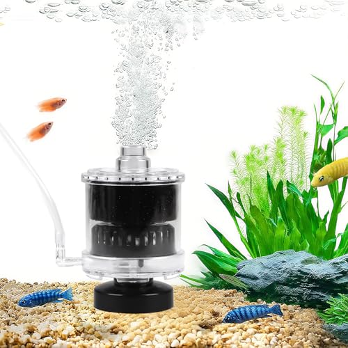 EXLECO Schwammfilter Aquarium mit Schlauch für 30-60 L Fisch Tank, Klein Aquarien Innenfilter, Mini Aquariumfilter, Filtermaterial - Luftheber Schwamm Filter Luftstein Filterbällen (Keine Luftpumpe)
