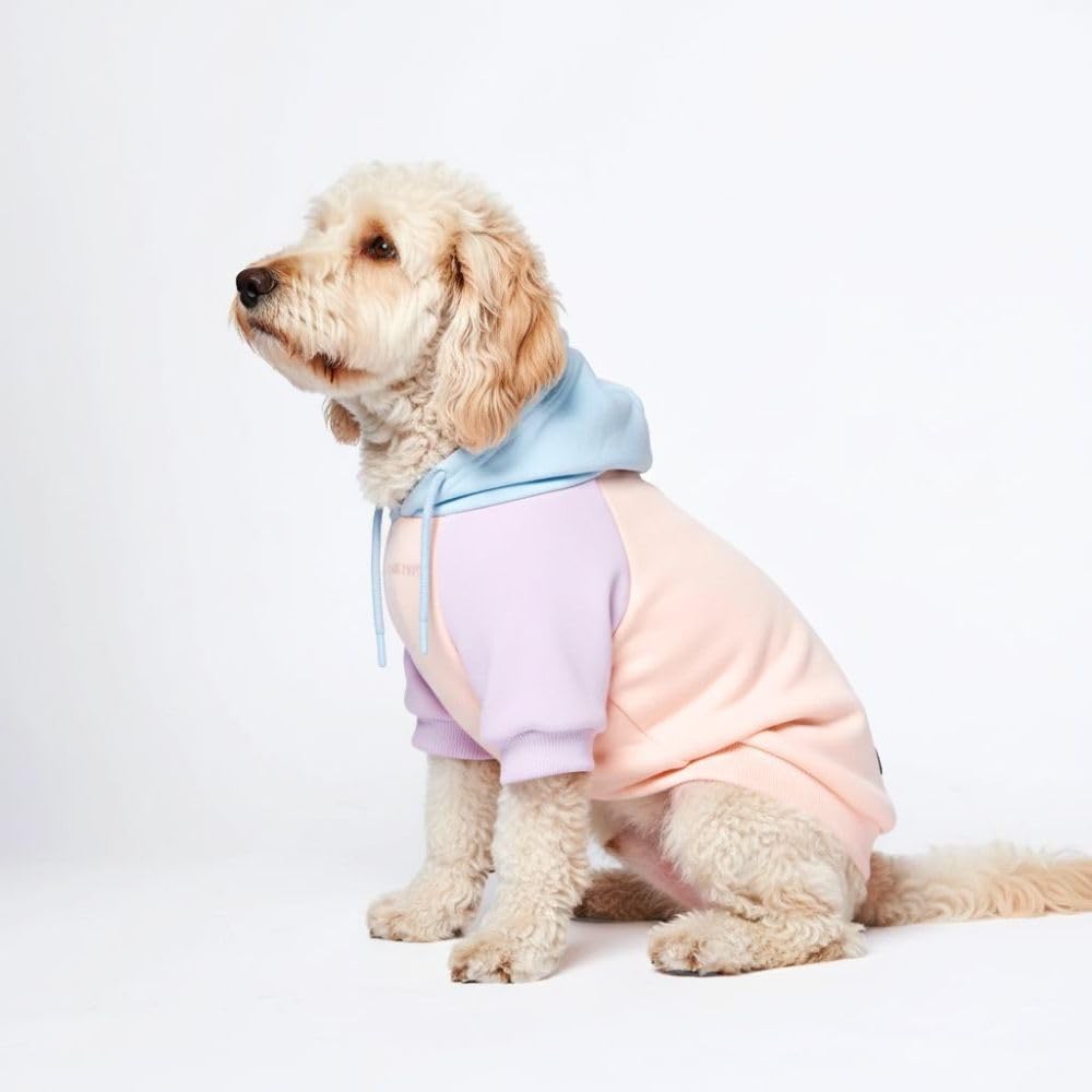 Spark Paws Dog Hoodie - Buttery-Soft Sweater Sweatshirt, Clothes for Puppy