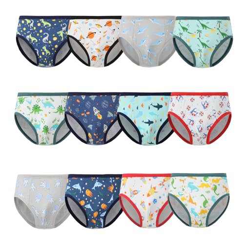 Boys Briefs Toddler Underwear,12 Packs