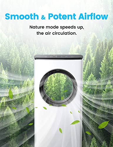 https://m.media-amazon.com/images/I/51pGVDoebMS._SL500_.jpg