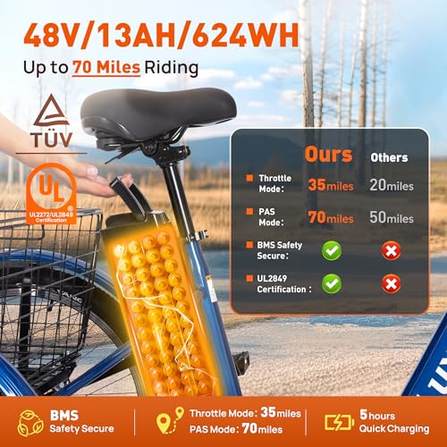 24″ Electric Trike，Electric Tricycle for Adults, 350W(Peak
