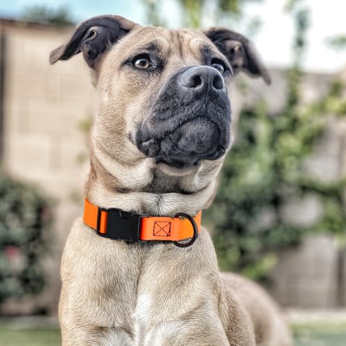 Image of Dogline Biothane Waterproof Dog Collar with Quick Release Buckle Strong Coated Nylon Webbing with Odor- Proof for Easy Care Easy to Clean Fits Small Medium Large Dogs, Orange 5 /8 inch W 9-14 inch L