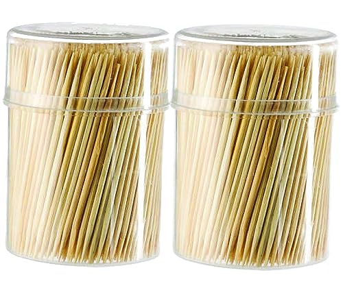 PARENCE.- 1000 Cure Dents en Bois/Lot de 2 Boîte de 500 Pièce- Usage Quotidien