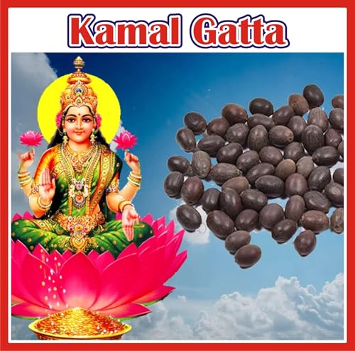 Image of JOrganics Kamal Gatta | Lotus Seed For Puja 100g