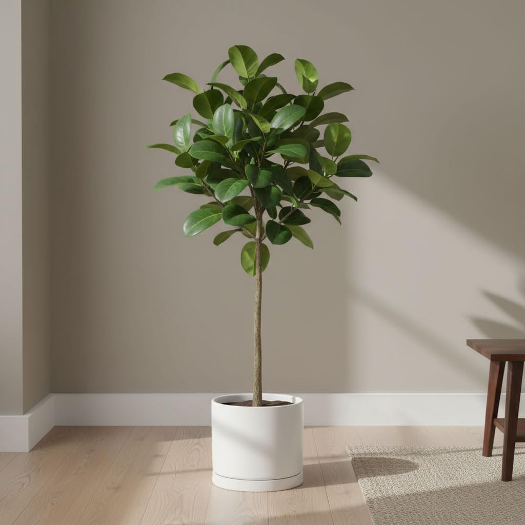 Aveyas 8 inch Ceramic Plant Pot with Drainage Hole and Saucer - Suitable for Indoor and Outdoor Use, Modern Planters for House Garden Flower Tree Snake Monstera Plants (8", Matte White) - Image 7