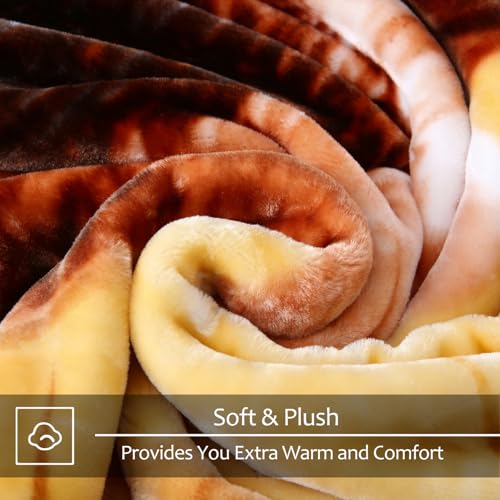 Image of JYK Queen Size Korean Mink Blanket, 5 LB Fleece Bed Blanket - 2 Ply Reversible 520GSM Silky Soft Plush Warm Blanket for Autumn Winter, A&B Pattern Printed, (Queen 75 inchx87 inch, Deer /Elephant)