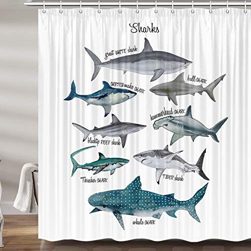 Jawo Shark Shower Curtain For Bathroom, Ocean Themed Fish White Background Boys Shower Curtain Fabric Shower Curtain Set, Kids Shower Curtain With 12 Hooks (72W X 72H) #TOP29