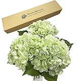 ZooeyRoose 3 pcs 21' Royal Stems Light Green Artificial Hydrangea Flowers