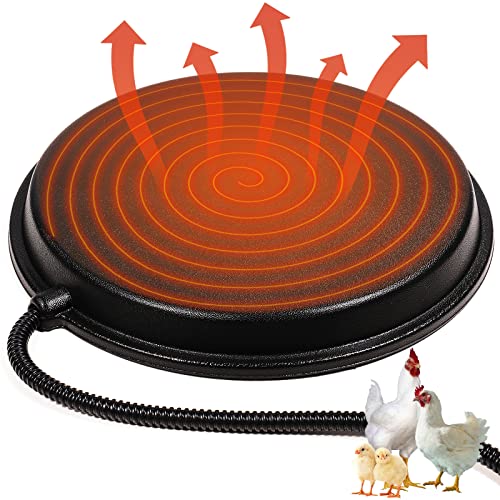 The Best Water Heater For Chickens For 2023 Maine