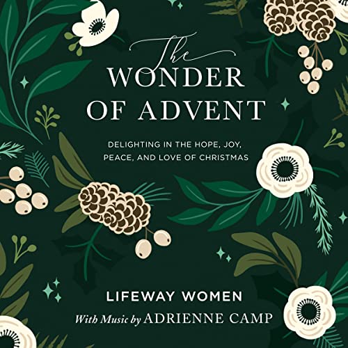 The Wonder of Advent: Audio Bible Study Experience by Lifeway Women episode artwork