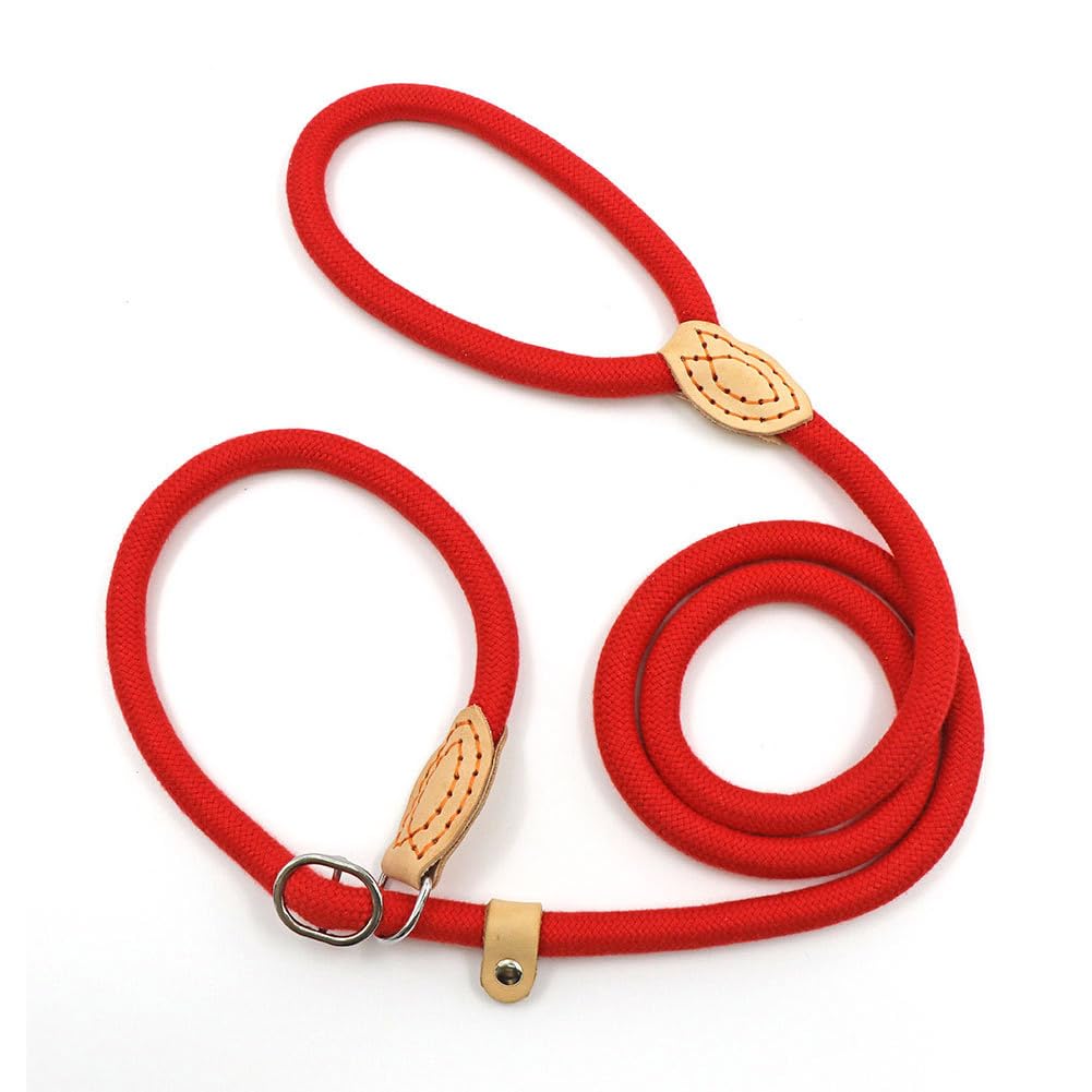 Awpland Slip Lead Dog Leash, Durable Nylon Dog Training Leashes for Large, Medium & Small Dogs โ image 1