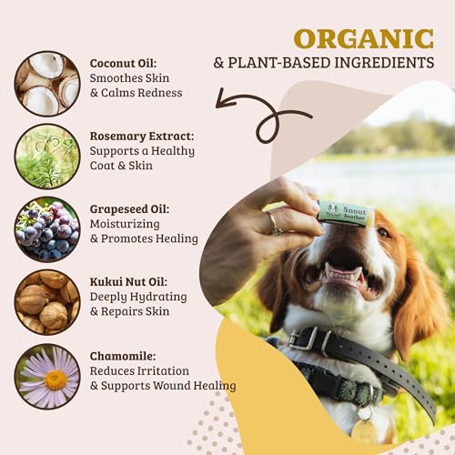 Natural Dog Company Snout Soother Balm - Nose Moisturizer & Dog Dry Nose Solution, Non-Toxic, Lick Safe, Organic Ingredients, Protects and Heals Natural Vitamin E and Chamomile Extract, 0.15 oz Stick