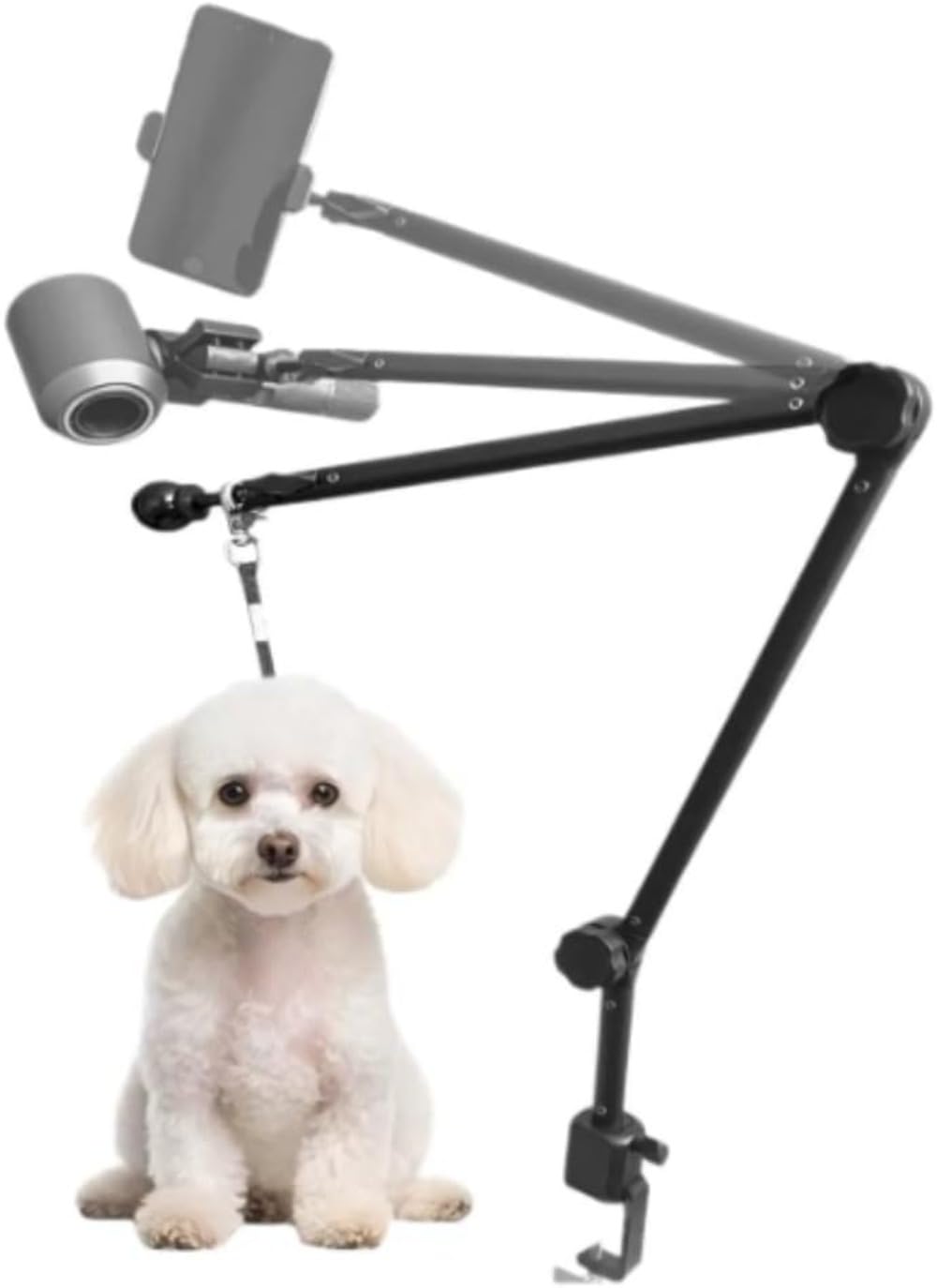 Amazon.co.jp: PVTK犬用トリミングシザー ペットショップ用トリミング