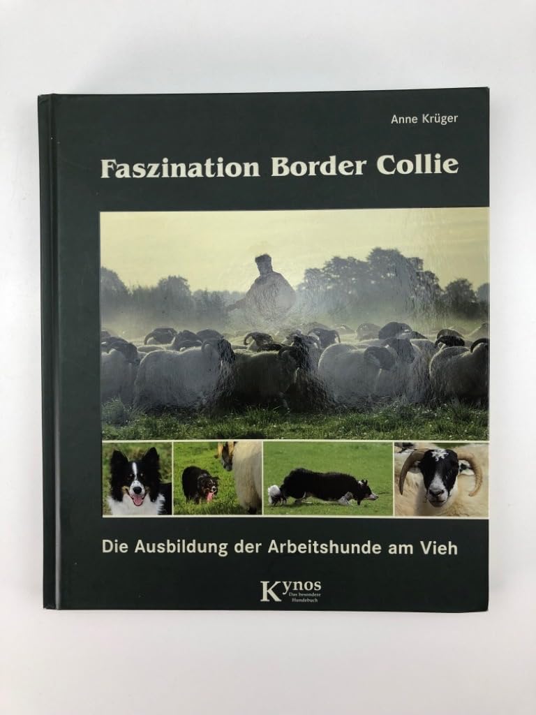 Faszination Border Collie: Die Ausbildung der Arbeitshunde am Vieh (Das besondere Hundebuch)