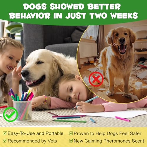 Beruhigende Pheromon Diffuser Nachfüllung(2Packs)|60-Tage Haustier Remedy Nachfüllungen,Beruhigende Stecker,Um Angst Und Stress Bei HaustierKatzeen Zu Reduzieren,Angstlinderung Bleiben Ruhiger (Hund)