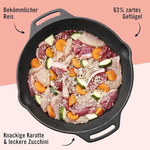 Dogs’n Tiger Junior, Hundefutter, Grünschnabel, Hundenassfutter für Welpen mit Huhn, Reis und Gemüse, ohne Getreide, Zuckerzusatz, künstliche Konservierungsstoffe, 6X 400g