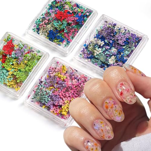 Mezrkuwr 4 cajas 3D de flores secas para decoración de uñas, flores secas coloridas para uñas, juego de mini pegatinas de pétalos de mezcla de flores naturales