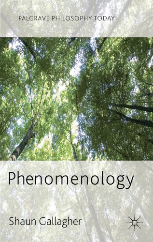 Phenomenology (Palgrave Philosophy Today)