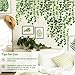 CEWOR 24 Pack 168ft Artificial Ivy Greenery Garland, Fake Vines Hanging Plants Backdrop for Room Bedroom Wall Decor, Green Leaves for Jungle Theme Party Wedding Decoration