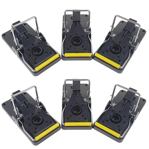 ROSHIELD 6 Pack Mouse Trap Set