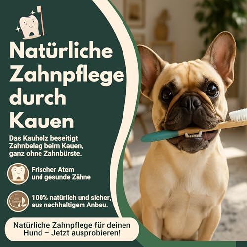 DENIPET® Kaffeeholz für Hunde & Welpen - Kauholz für Hunde, nachhaltiges Kauspielzeug Hund, robuster Kauknochen zur Zahnpflege, Hundespielzeug und Beschäftigung, Ideal als Welpenspielzeug, Größe M