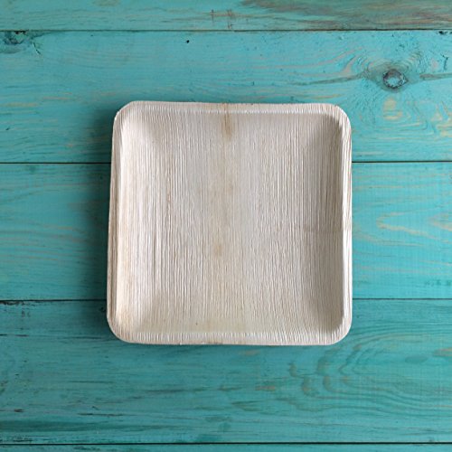 Disposable Areca Palm Dessert Quarter Plate 6" Square(Pack of 25s). 100% Natural, Eco-Friendly, Biodegradable, Naturally Compostable.Best Suited for Birthday party,Wedding,Camping, Catering