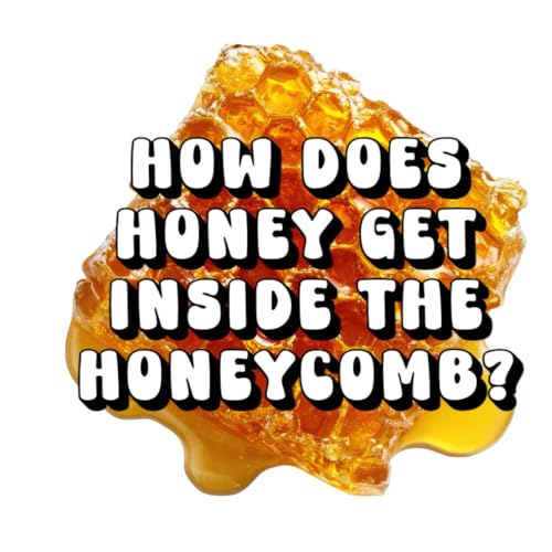  How Does Honey Get Inside the Honeycomb?