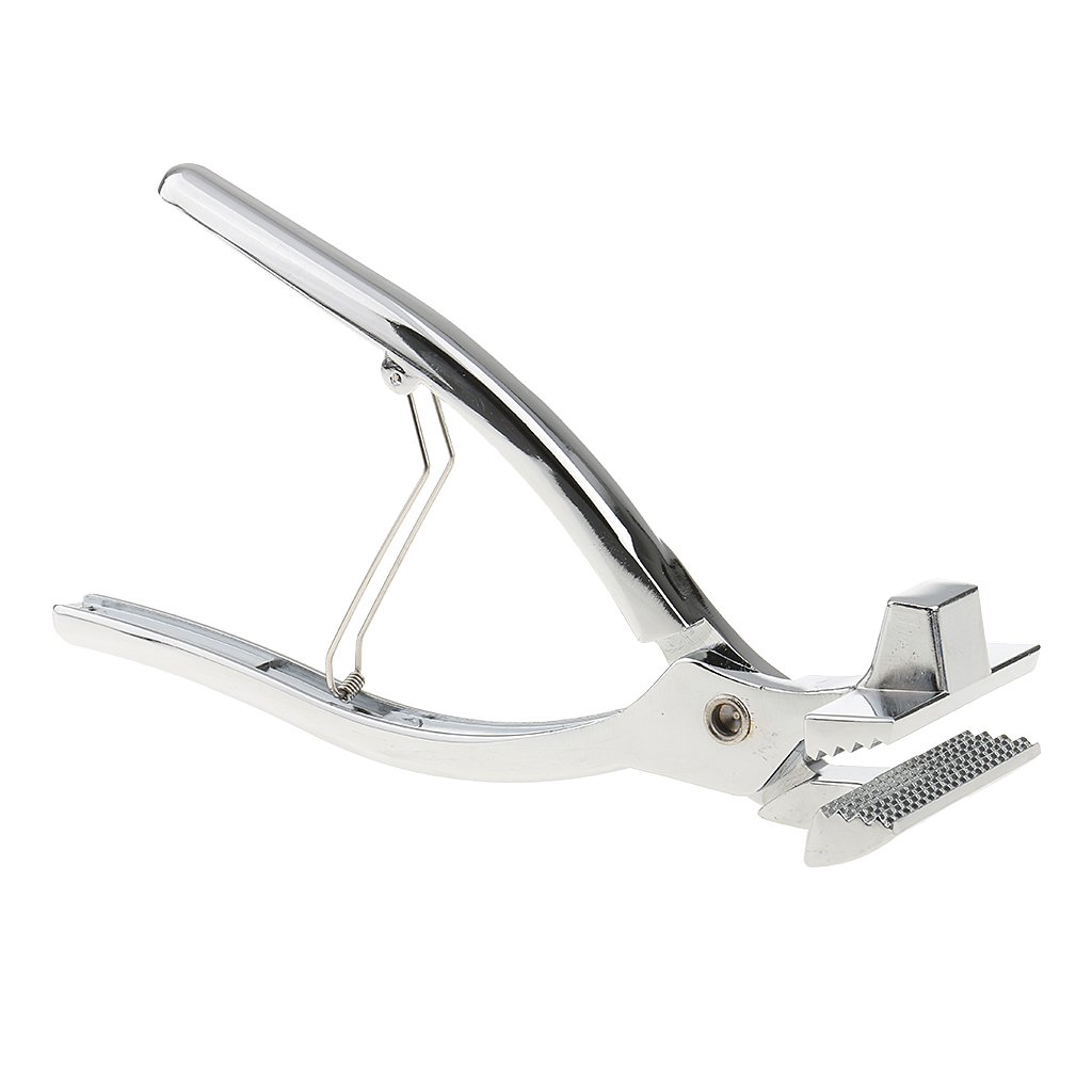 predolo Juego de Herramientas para Tensar Lienzos con Alicates Metálicos, 6cm