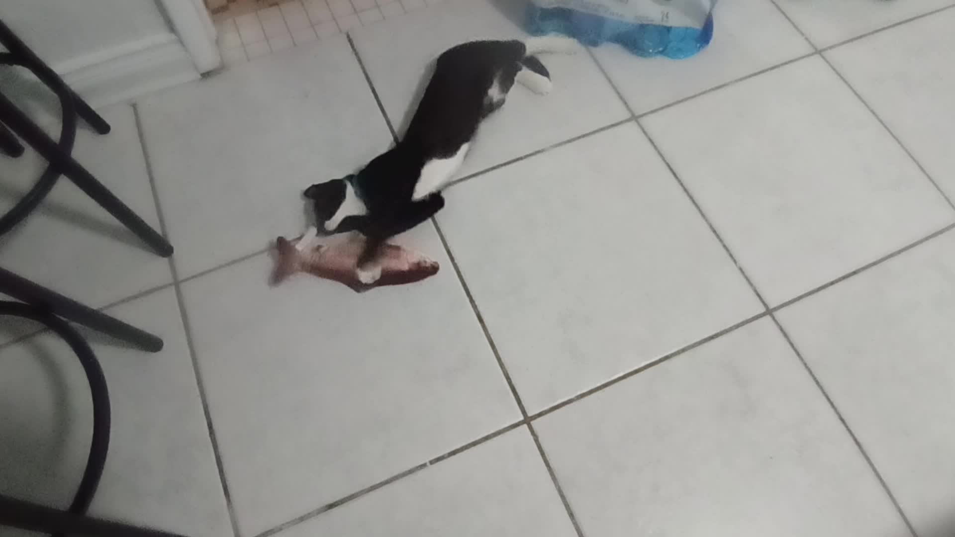 video